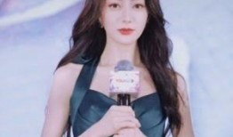 明星黑料网站视频迪丽热巴,真相与谣言的交织